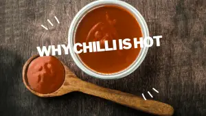 why chilli is hot ?