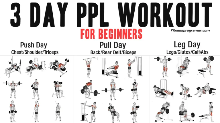 3-Day PPL Workout Routine For Beginners